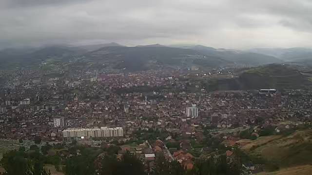 Live Stream